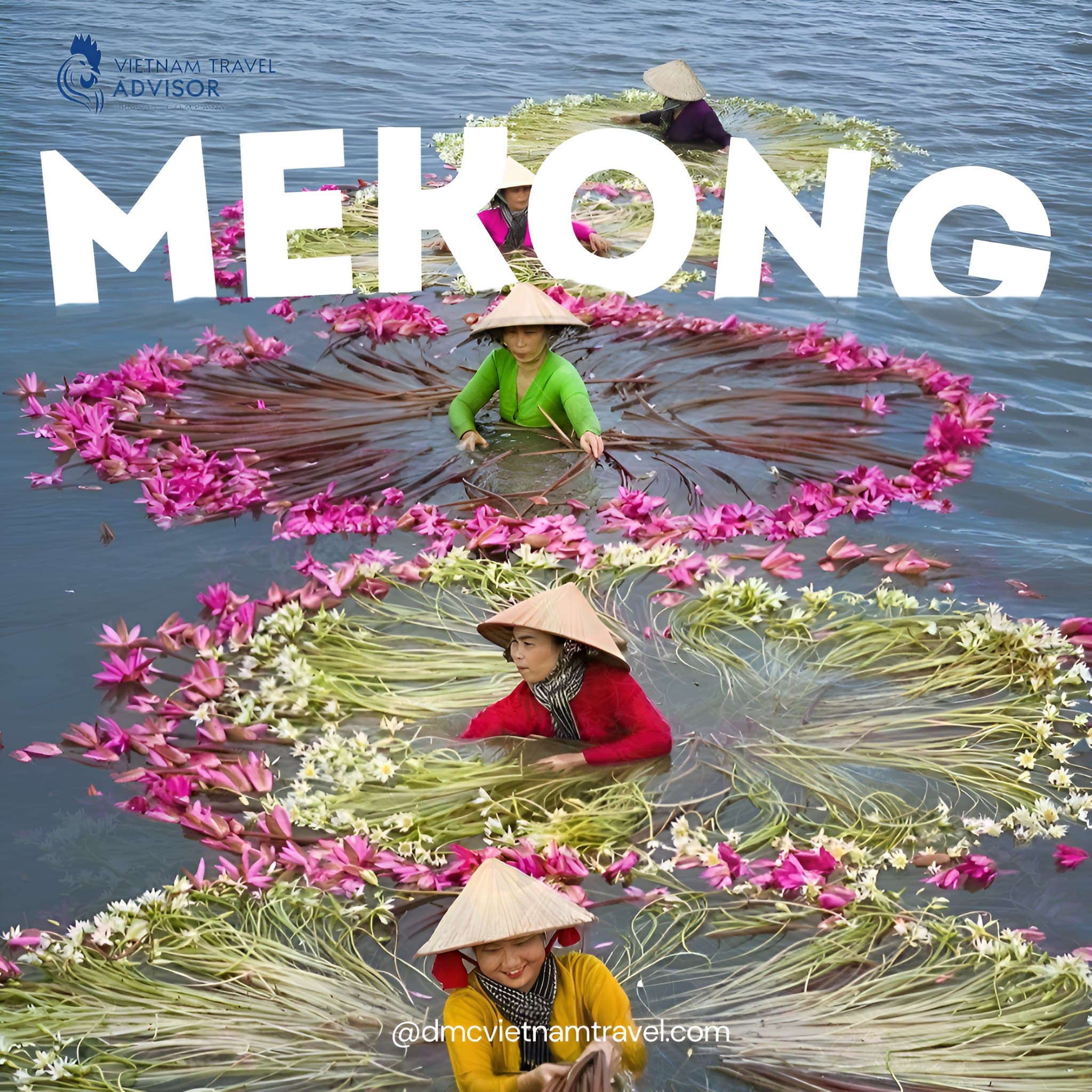 Mekong river and local southern Vietnam travel experience.
